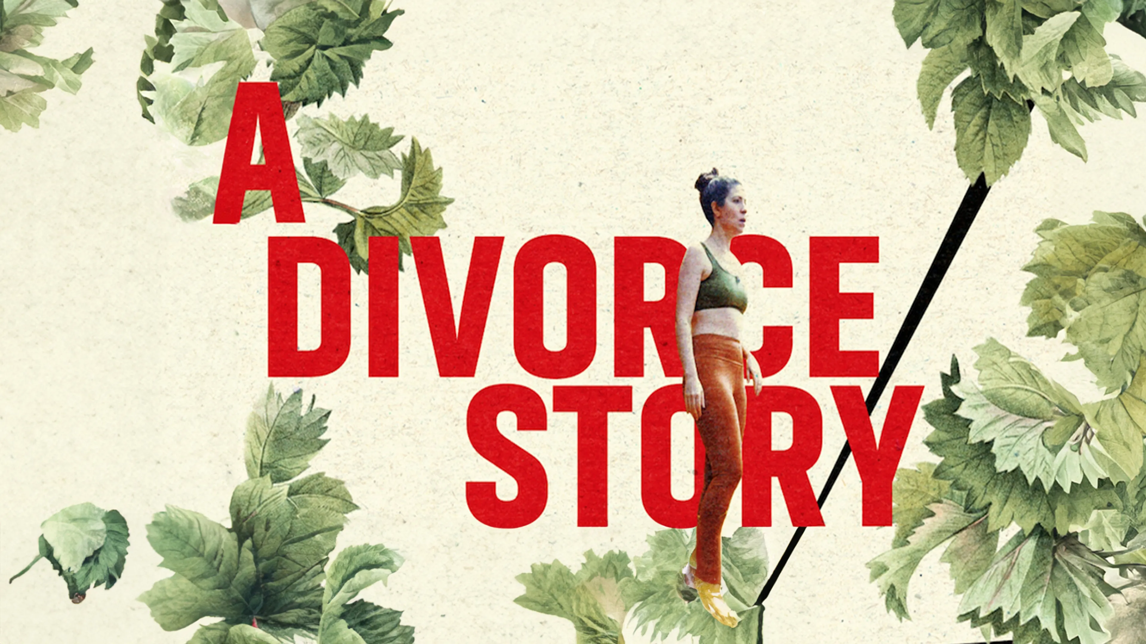 A Divorce Story poster